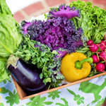 Допускается употребление 28 сортов овощей