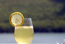 приготовим ферментированный домашний лимонад