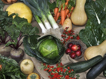 Источники растительного белка - овощи