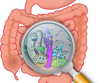 диета микробиома