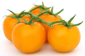 Оранжевые помидоры лучше защищают от рака