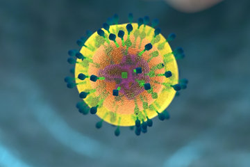 Что такое иммунная система