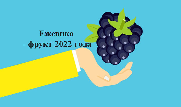 Ежевика - фрукт 2022 года