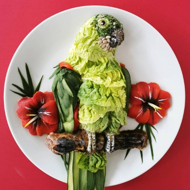 Салат с зеленым попугаем