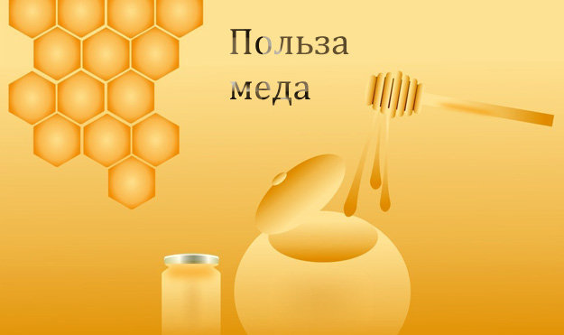 Польза меда для организма человека 1