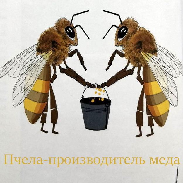 Пчела-производитель меда
