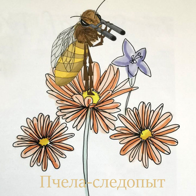 Пчела-следопыт