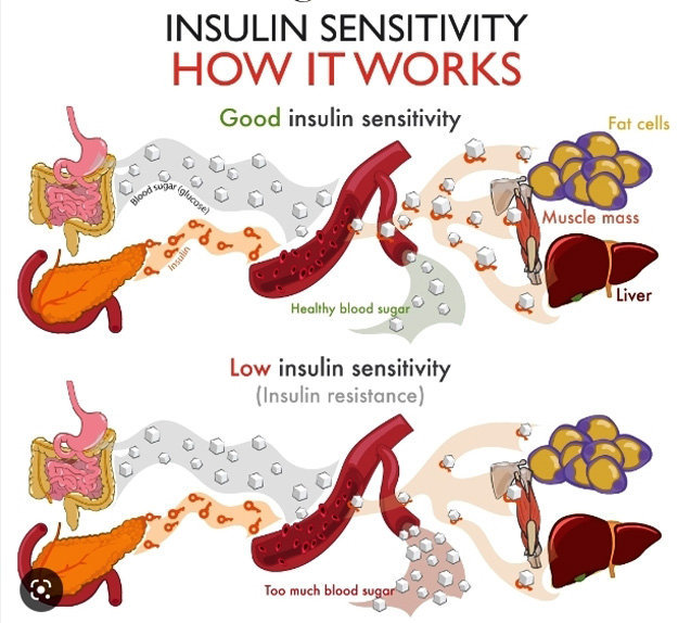 риск резистентности к инсулину