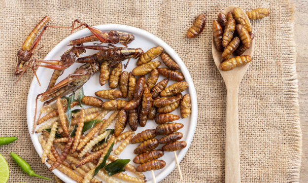 Проблема "насекомые в еде" на Западе
