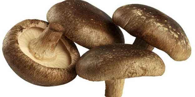 Шиитаке гриб с витамином D
